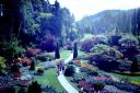 _24-13.jpg, Butchart Gardens
Victoria