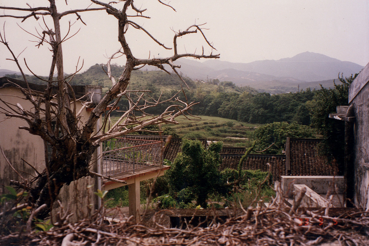 005.jpg, Hong Kong
outlying island