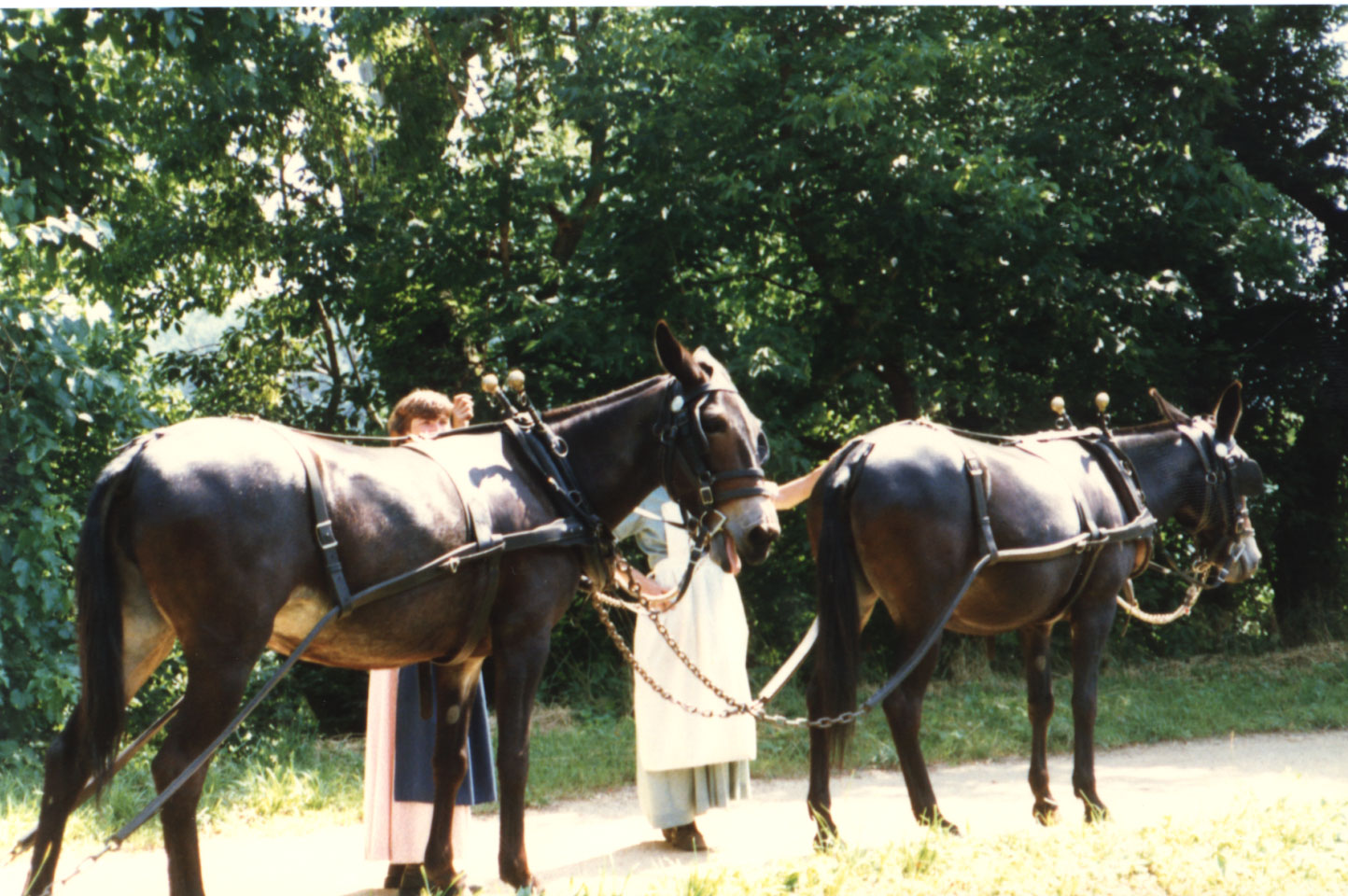 87-03.jpg