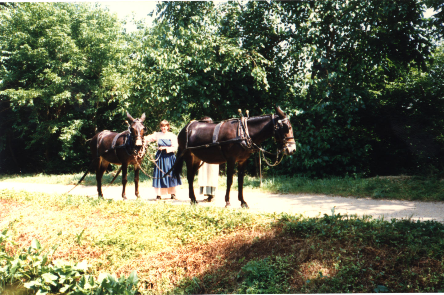 87-04.jpg
